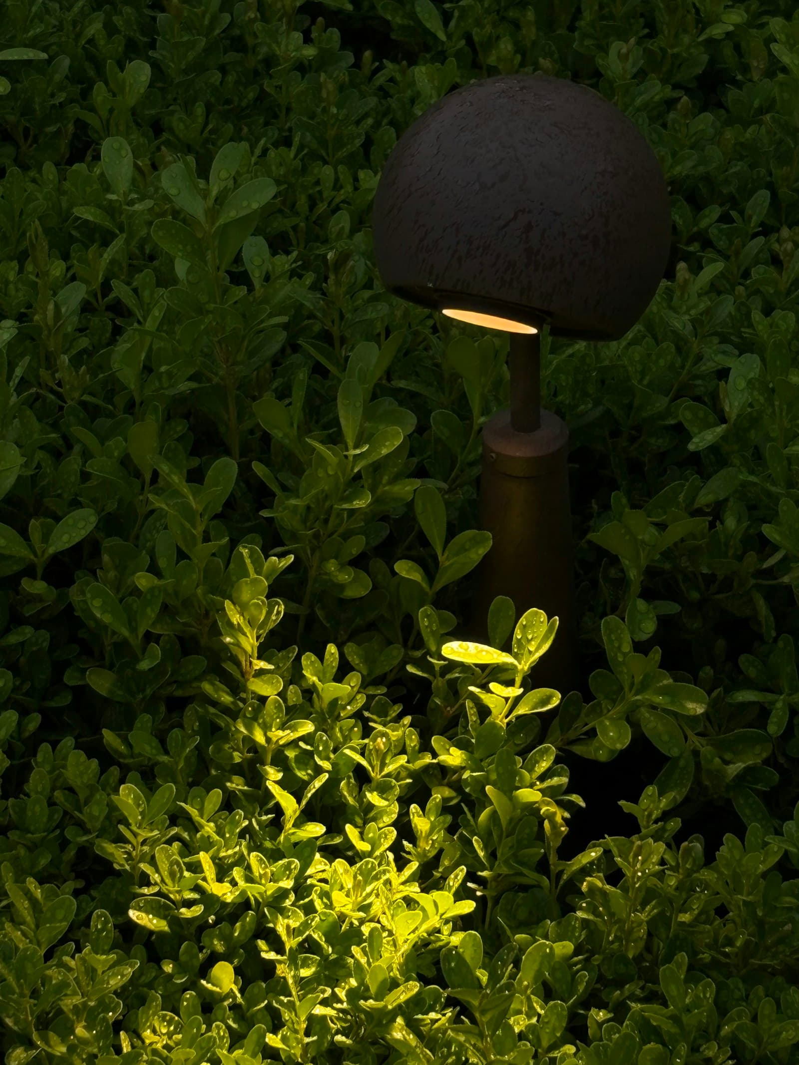 Landscape Lighting install